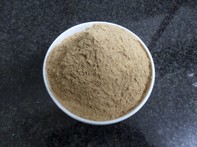 Cannella regina polvere - 30g