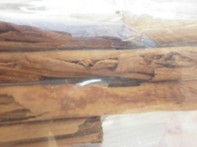 Cannella a stecche - 30g