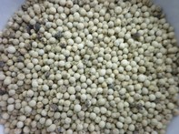 Pepe bianco - 35g