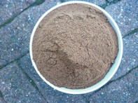 Noce moscata polvere - 10g